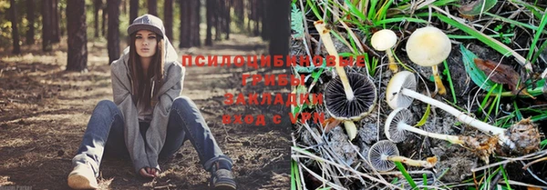 СК Пролетарск