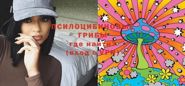 ALPHA PVP Алексин