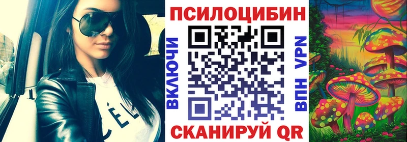 Псилоцибиновые грибы мицелий  сколько стоит  Борзя 