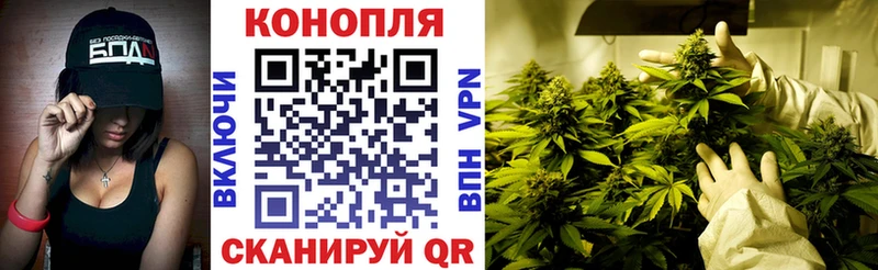 MEGA ссылка Борзя МАРИХУАНА марихуана